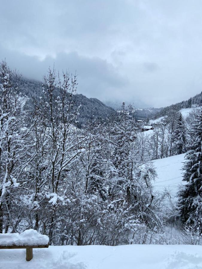 Chalet Soleya Le Grand-Bornand Bagian luar foto